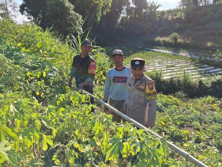 Jaga Kerukunan dan Waspada Kebakaran, Bhabinkamtibmas dan Babinsa Sambangi Warga di Kebun