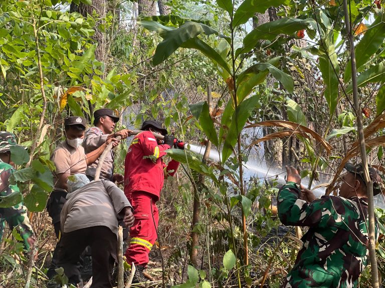 Kebakaran Hutan Lindung di Rumbia Jeneponto, Kapolsek Kelara Pimpin Pemadaman Hingga Malam Hari